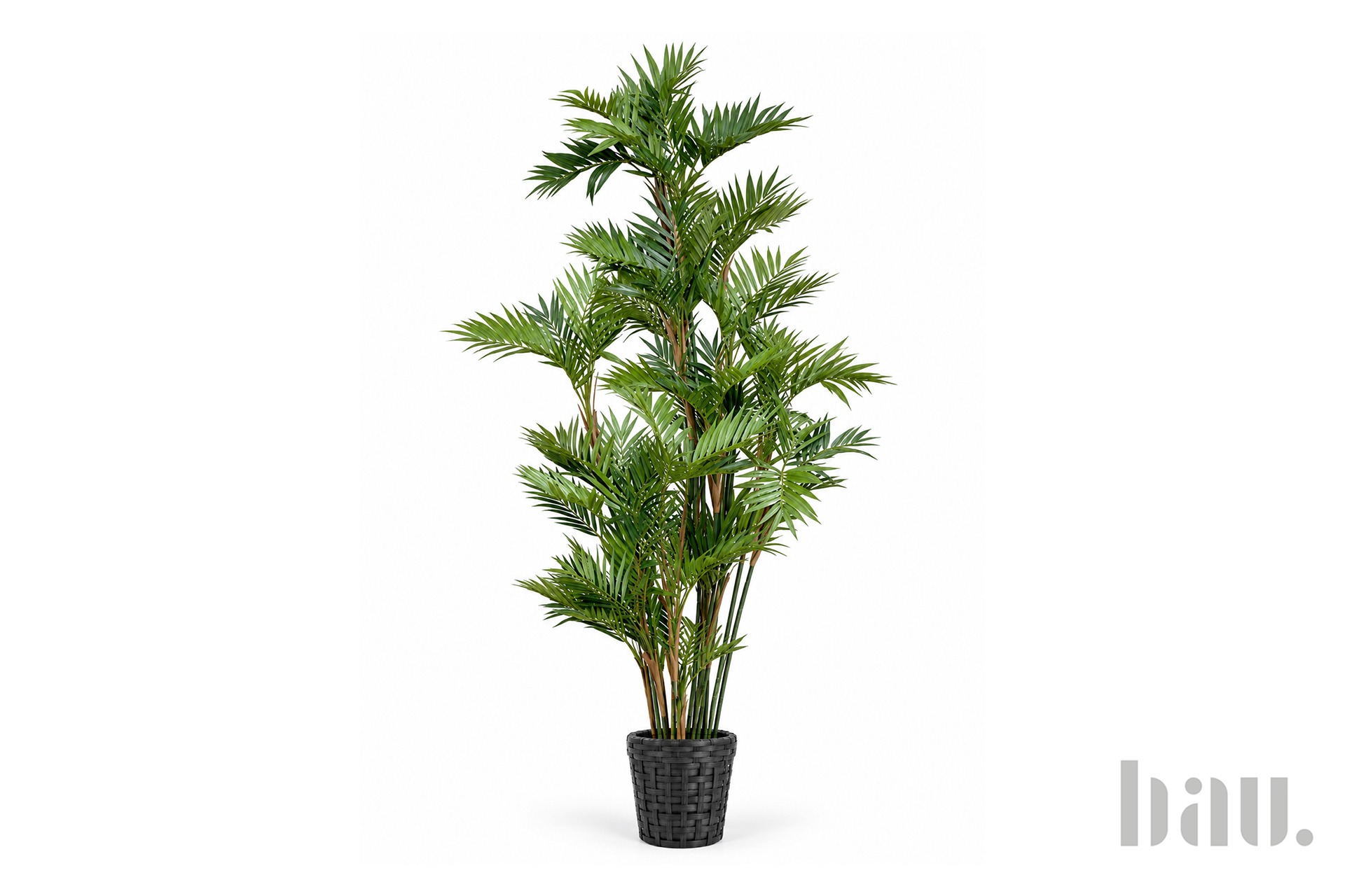 Palm (synthetic)